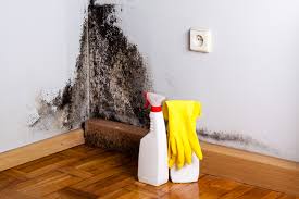 Best Real Estate Mold Inspection  in Whitefish Bay, WI